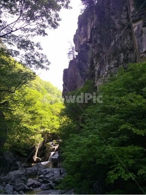 두타산,등산로,계절,자연,나무,자연,풍경,nature,landscape,한국자연풍경,한국자연경관,korea nature landscape,outdoors,옥외