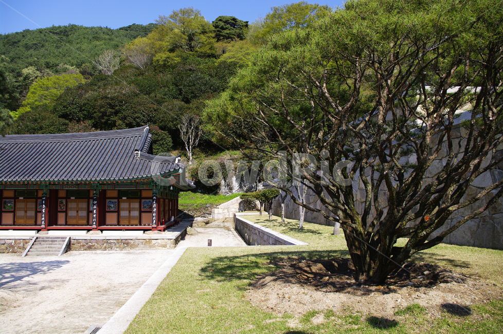 건축,화엄사,사찰,절,지붕,traditional,전통,나무,식물,plant,한국전통,한국문화,korean traditional,korean culture,건축물,건물외관,exterior,building,structure,architecture,construction