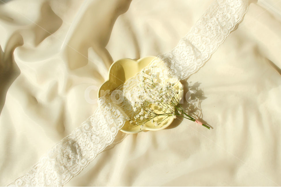 손,꽃,안개꽃,노랑,감성사진,그릇,노란색,하얀색,yellow,white,flower,flowers,레이스,접시,hand,사물,물건,오브젝트,thing,object,matter