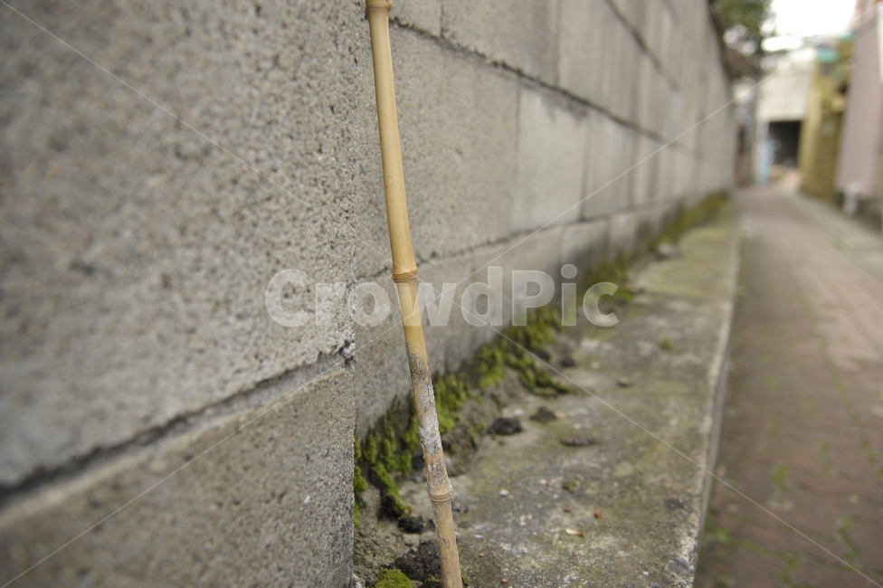골목길,홀로,오래된,골목,road,골목길,alley,사물,물건,오브젝트,thing,object,matter