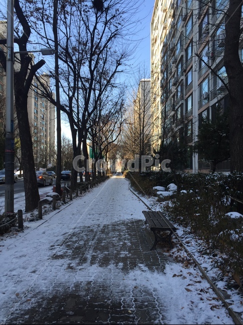눈,눈길,겨울,춥다,눈온뒤,거리,동네,걷다,snow,winter,cold,벤치,나무벤치,겨울,계절,winter,season,도시,풍경,city,landscape