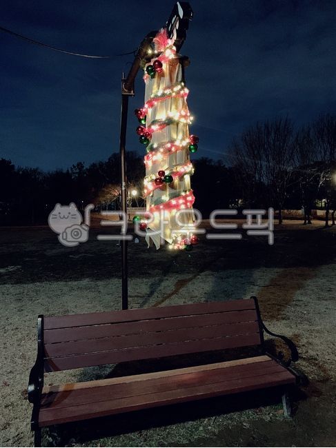 park road,walk in the park,walking path,asphalt,park,walk