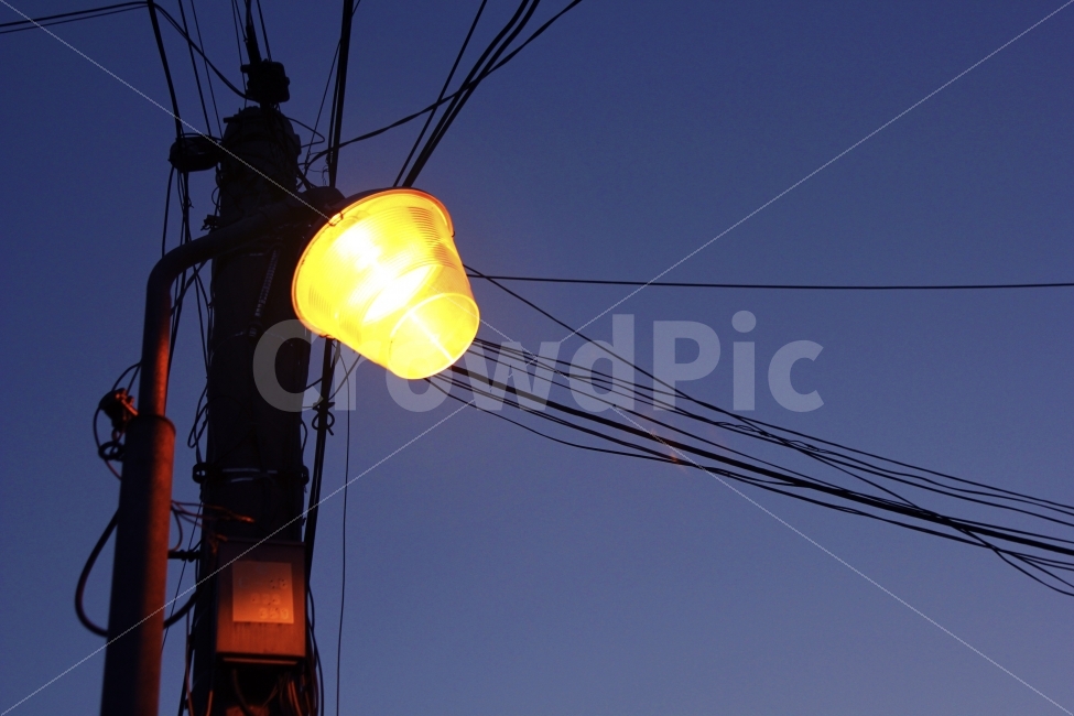 가로수,밤하늘,감성,분위기,노을,야경,밤,풍경,nightscape,night,landscape,산업,industry,industrial,에너지산업,energy industry