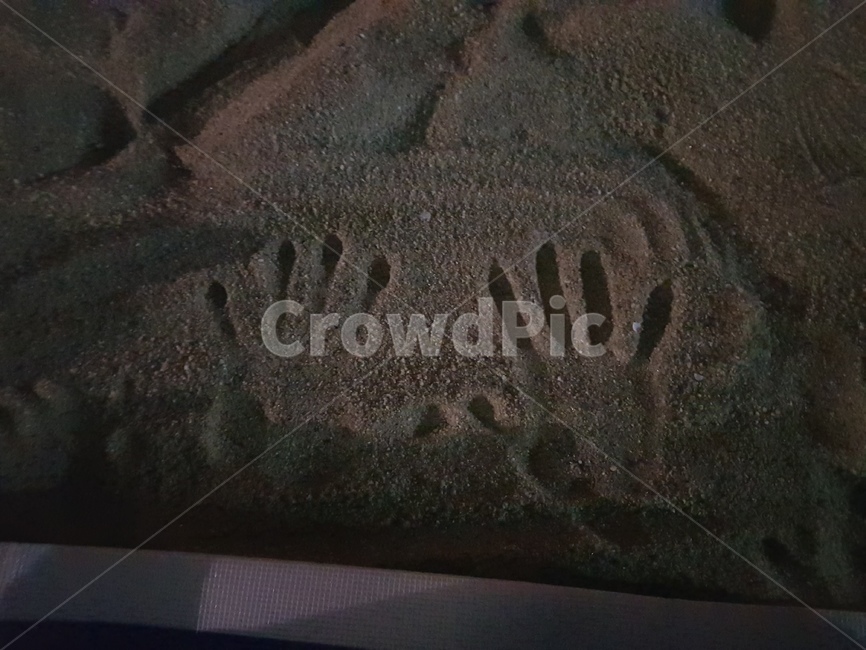 손바닥자국,모래,손,손가락,해수욕장모래,손자국,해변,바다,beach,sea