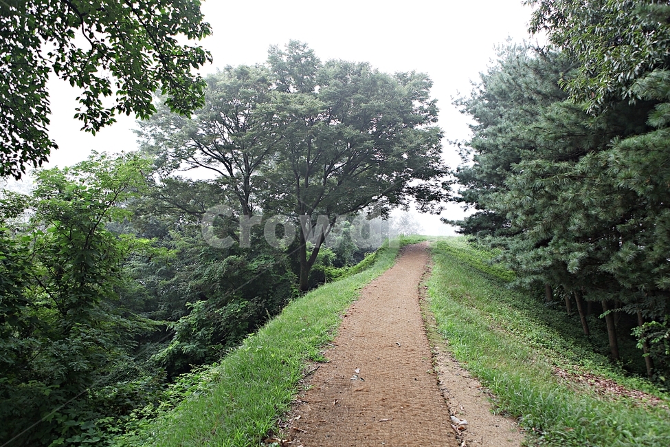 오솔길,길,둘레길,숲,숲길,식물,나무,풍경,여름,자연,풍경,nature,landscape,gravel,자갈,road,도로,dirt road,흙길