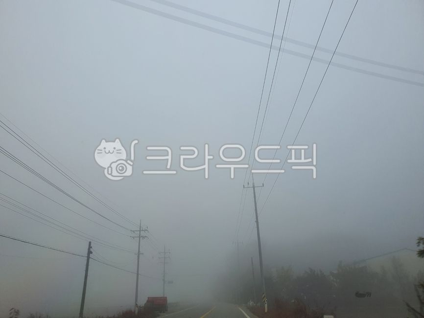 안개,아침안개,가을안개,이슬,fog