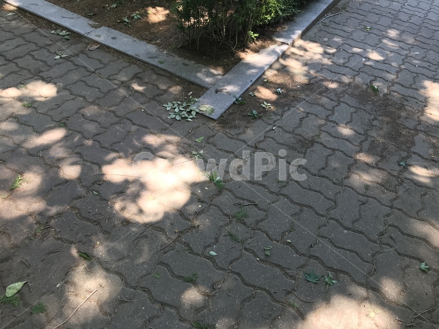 자연,풍경,그림자,shadow,summer,korea