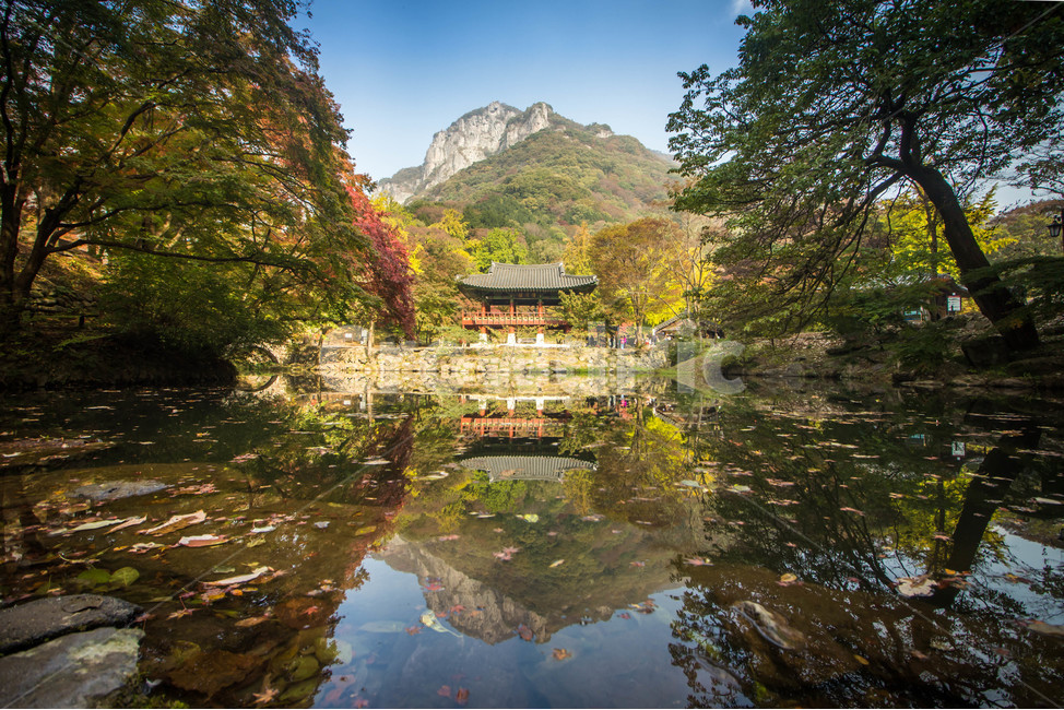 장성,백양사,단풍,쌍계루,풍경,가을,반영,가을,계절,fall,autumn,season,자연,풍경,nature,landscape,한국자연풍경,한국자연경관,korea nature landscape,water,물,outdoors,옥외