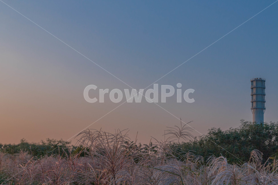 가을,하늘,노을,억새,공원,하늘공원,가을하늘,가을,계절,fall,autumn,season,자연,풍경,nature,landscape,색깔,색상,색채,색감,color sense,color sensitivity,feeling of color,outdoors,옥외
