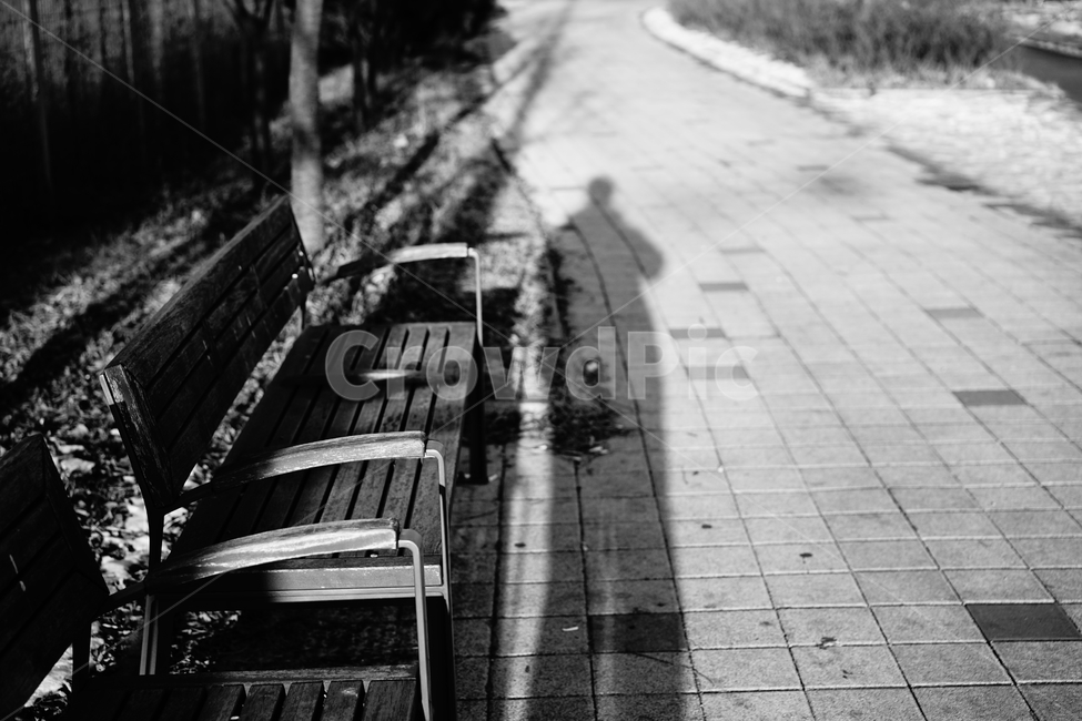 감정,외로움,쓸쓸함,계절,흑백,흑백사진,느낌,감성사진,감성,풍경,풍경사진,필,자연,나무,잎,거리,일상,사진,감성샷,스냅,흑백,모노톤,monochrome,black and white