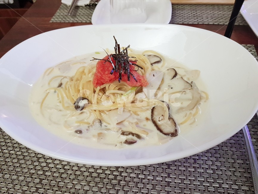 크림파스타,파스타,스파게티,버섯,소스,그릇,김,pasta,spaghetti,creampasta,음식,식재료,요리,food,cook,meal,dishes,food reserves,면류,면요리,noodles,양식,서양음식,서양요리,western food,western dishes,western meal,western cook