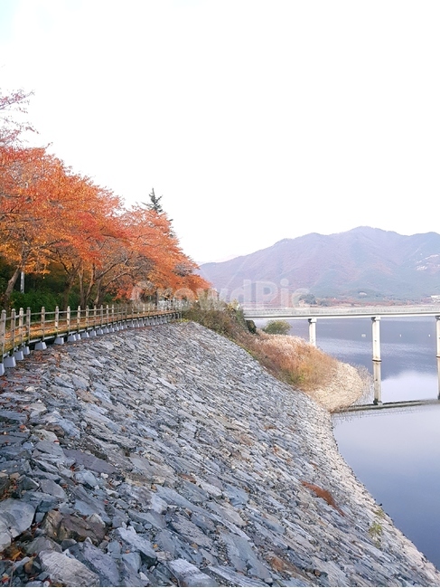 풍경,가을,댐,단풍,다리,자연,수변,울긋불긋,푸른,가을,계절,fall,autumn,season,자연,풍경,nature,landscape,한국자연풍경,한국자연경관,korea nature landscape