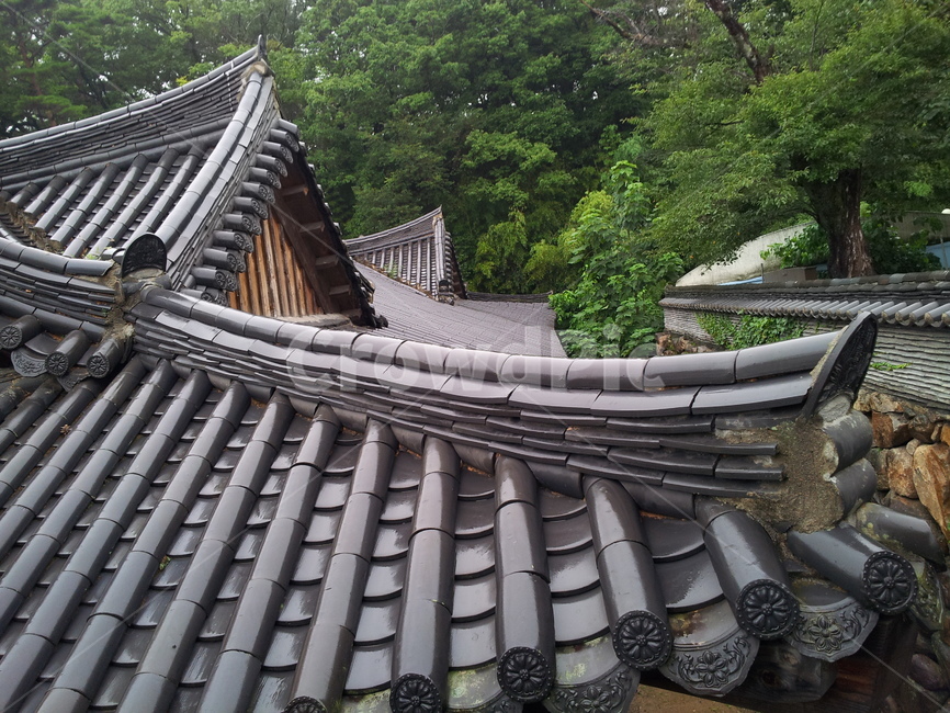 roof,지붕,tileroof,기와지붕,한국,동양,절,한국전통,한국문화,korean traditional,korean culture