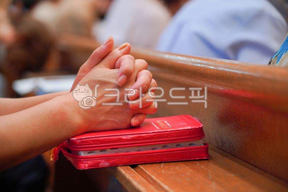기도,찬양,교회,은혜,기독교,예배,종교,신앙,사람,손,성경,독서,말씀,기도회,천주교,믿음