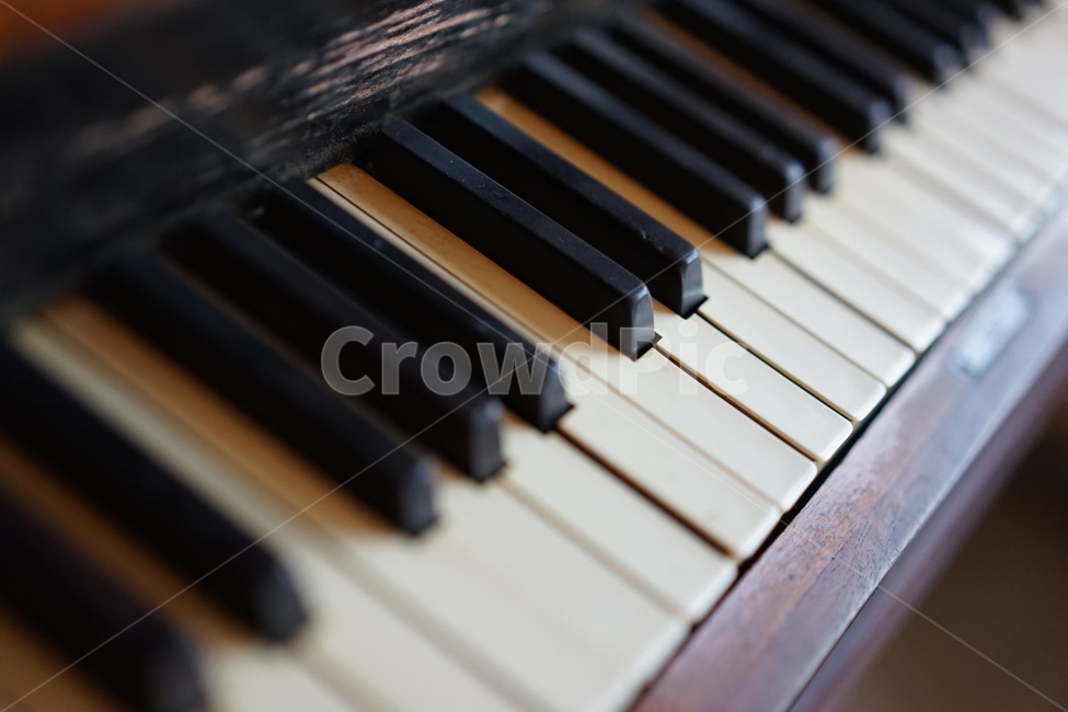 피아노,건반,악기,piano,음악,악기,음향기기,musical instrument,musical equipment