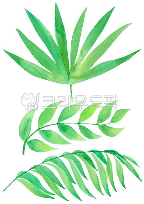 Nukki,summer plants,palm,summer,palm tree,plants,drawing,season,drawn,hand,green,handwork,nature,hand drawing,png,leaf,tropical,tropical leaves,watercolor,painting,tropics,plant,illustration,palm leaves,tropical plants,Watercolor,object