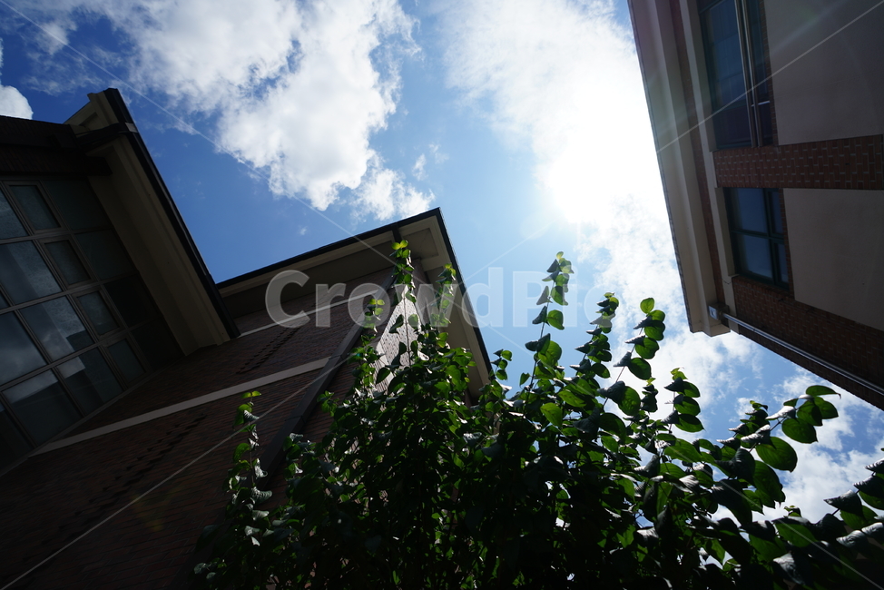 하늘,구름,파랑,blue,sky,cloud,건물,날씨,맑은날,햇살