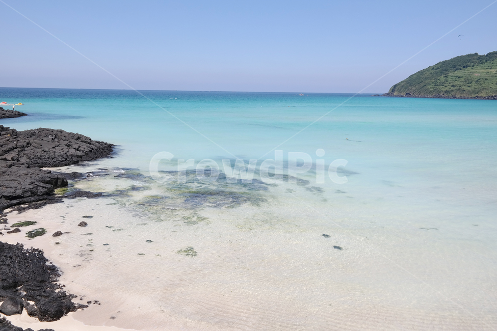 제주도,해변,바다,해수욕장,여름,제주바다