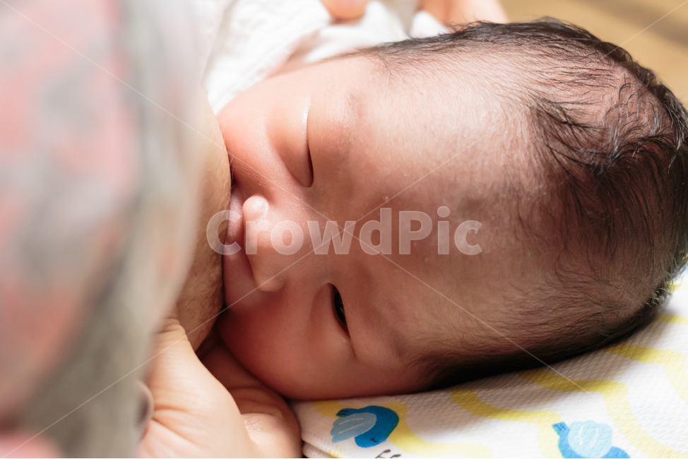 아기,갓난아기,신생아,모유수유,모유,젖가슴,엄마,산모,수유,귀여운,작은,앙증맞은,얼굴,젖,모성,가족,육아,출산,사람,인물,인간,human,person,가족,패밀리,family,영유아,아기,애기,아이,infants,baby