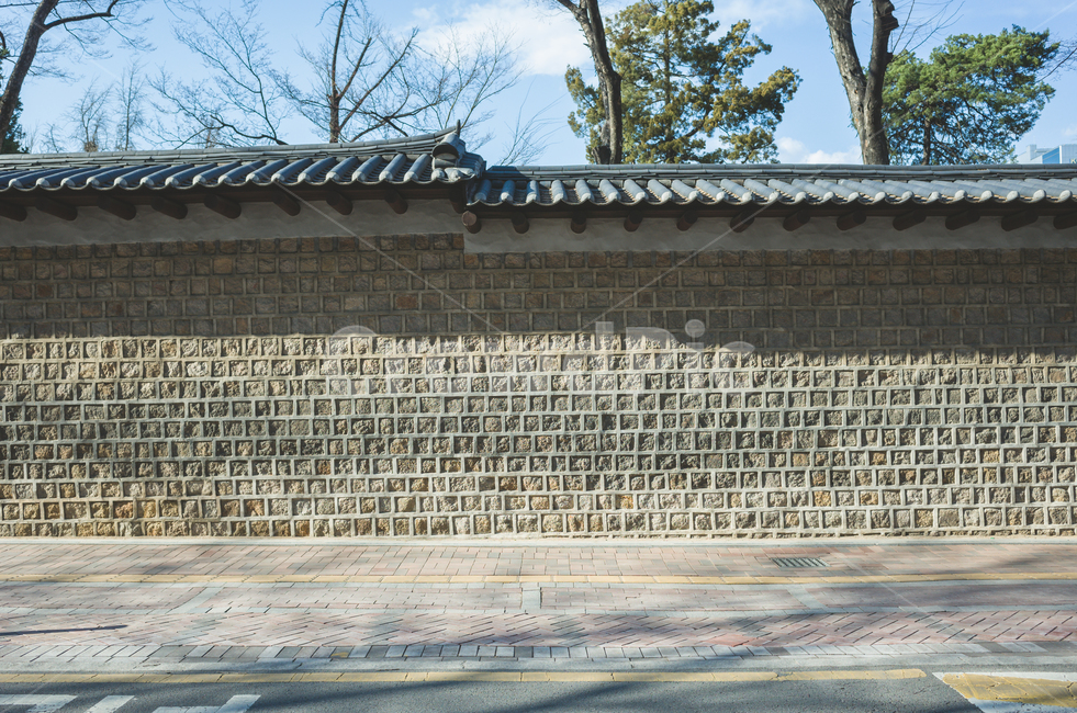 서울,정동길,덕수궁돌담길,덕수궁,봄,계절,4월,꽃,화창한,나무,산책길,도시,풍경,담벼락,감성,서울명소,한국전통,한국문화,한국,한국적,데이트코스,seoul,landscape,season,nature,trees,spring,april,korean,traditional,koreanculture,exterior,building,structure,architecture,한국전통,한국문화,korean traditional,korean culture,건축물,건물외관,exterior,building,structure,architecture,construction