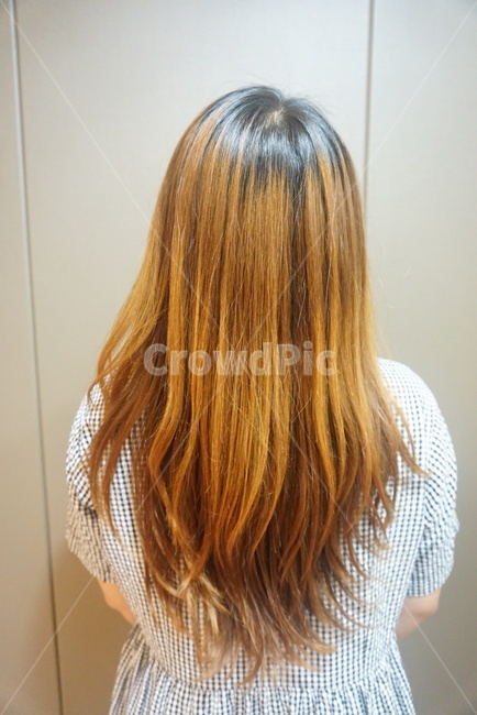 뿌리염색,헤어모델,헤어모델머리,뒷모습,염색전