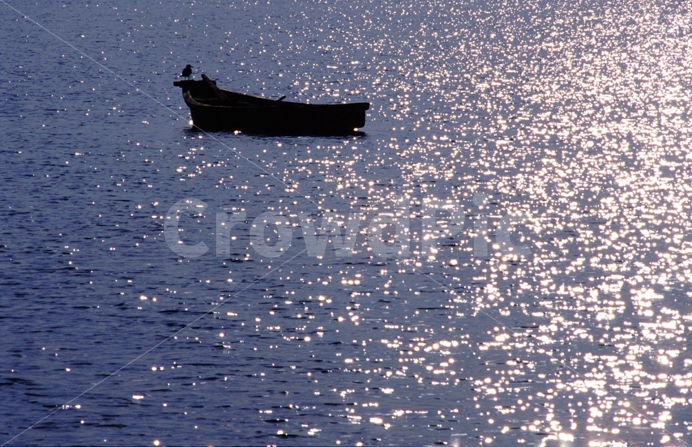 바다,새,배,물결,반사,bird,sea,파란,블루,blue,feel,분위기,느낌,감성,서정,외로움,alone,lonely,loneliness,solitary,혼자,한마리,쓸쓸함,정적,고요,시간,풍경,이미지,고독,소외,여름바다,잔잔한,실루엣,물새,1,자연,풍경,nature,landscape,실루엣,그림자,silhouette,shadow,vehicle,차량,transportation,교통,boat,보트,rowboat,노 젓는 배