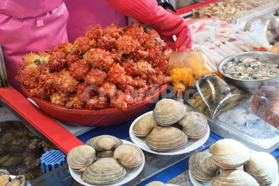 시장,부전시장,부산,해산물,멍개,조개,먹거리,식품,시장,마트,마켓,market,mart,market place,음식,식재료,요리,food,cook,meal,dishes,food reserves,수산물,해산물,fishery products,seafood