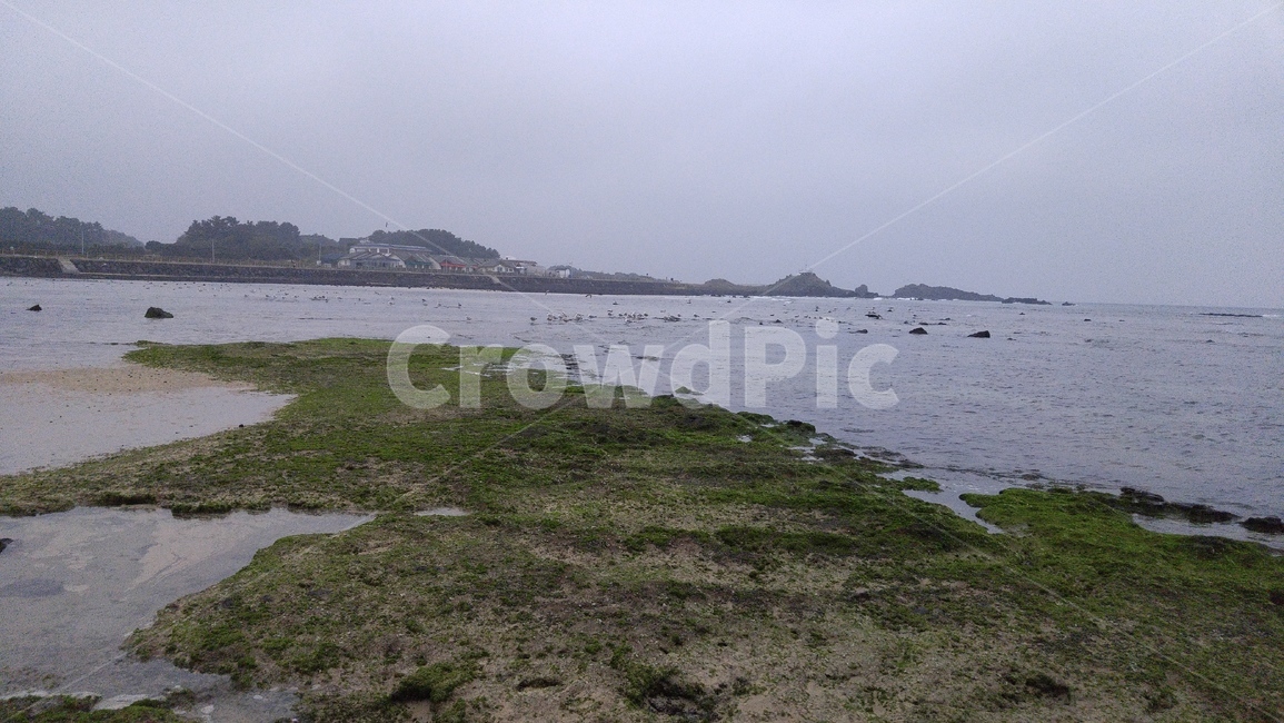 water,sea,대양,ocean,나라,물,바다,shoreline,해안선,제주,제주도,제주바다,제주하늘,제주도바다,제주도하늘,해안,해변,방파제,경치,land,옥외,outdoors,자연,nature,바닥,ground,자연,풍경,nature,landscape