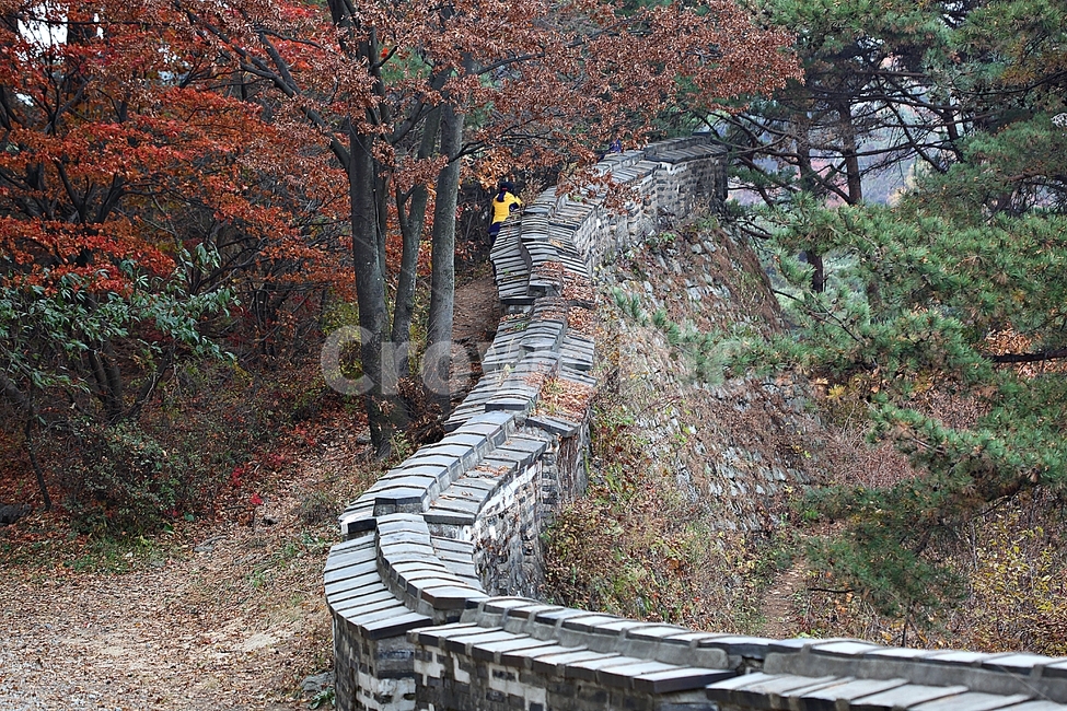 남한산성,성,성곽,단풍,낙엽,길,둘레길,숲,숲길,담,돌담,가을,자연,풍경,벽,울긋불긋,산성,식물,가을,계절,fall,autumn,season