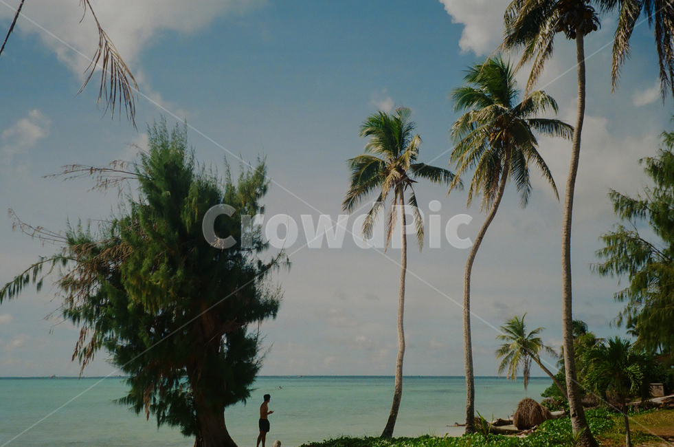 summer,여름,human,인간,사이판,sipan,해변,beach,여름,계절,summer,season,자연,풍경,nature,landscape,해변,바다,beach,sea