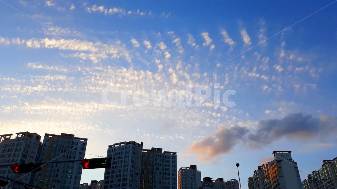 풍경,하늘,감성,신호등,구름,저녁,도시,풍경,city,landscape,nature,자연,weather,날씨,outdoors,옥외,office building,사무실 건물,building,건물