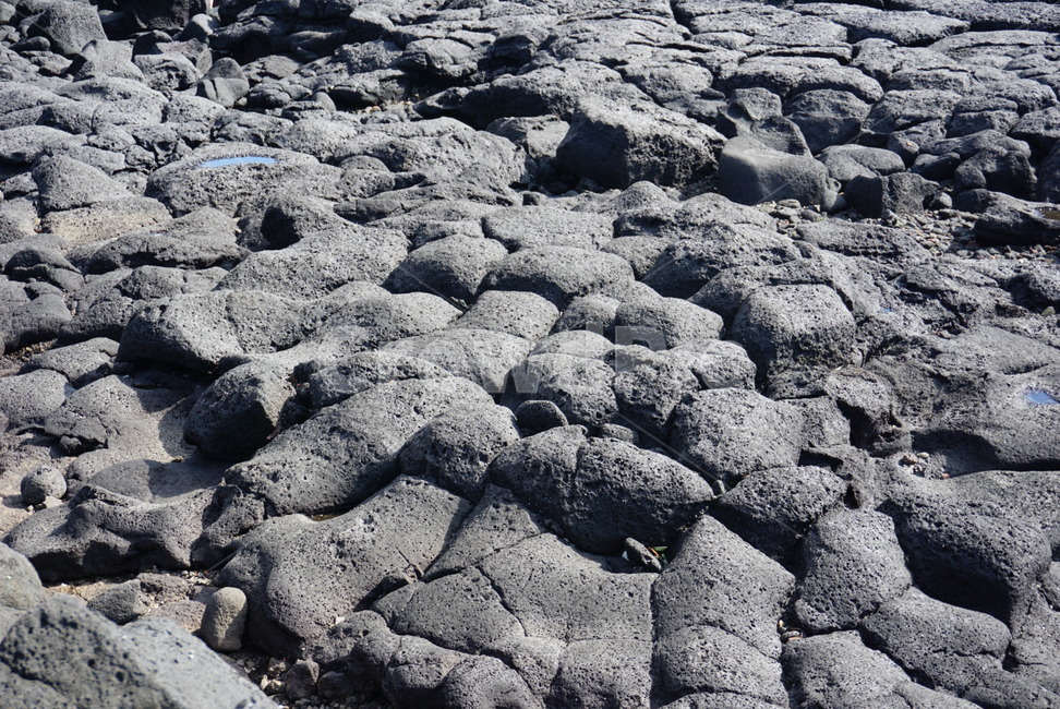 자연,돌,바위,현무암,rock,제주도,회색,자연,풍경,nature,landscape,제주도,jeju,jeju island,soil,흙,록