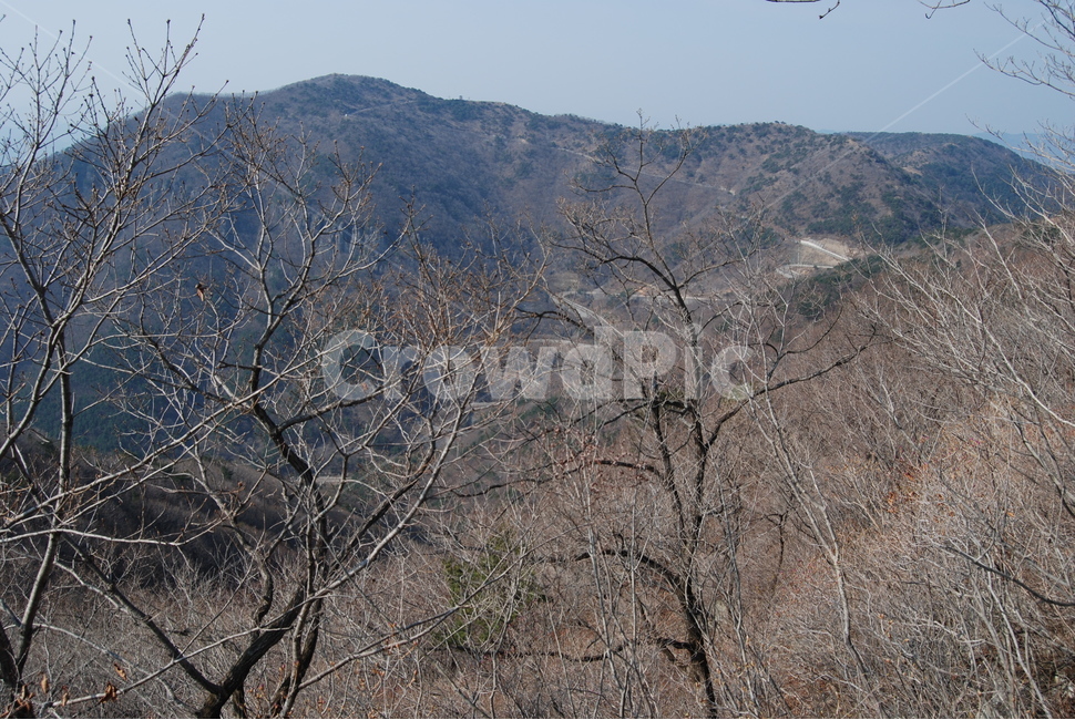 자굴산,의령군,휴양림,자연,봄,공원,자연,풍경,nature,landscape,한국자연풍경,한국자연경관,korea nature landscape,adventure,모험,leisure activities,레저 활동