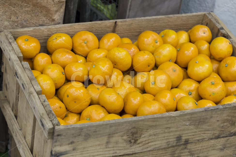 귤,감귤,과일,나무박스,박스,노란색,과일,열매,fruit