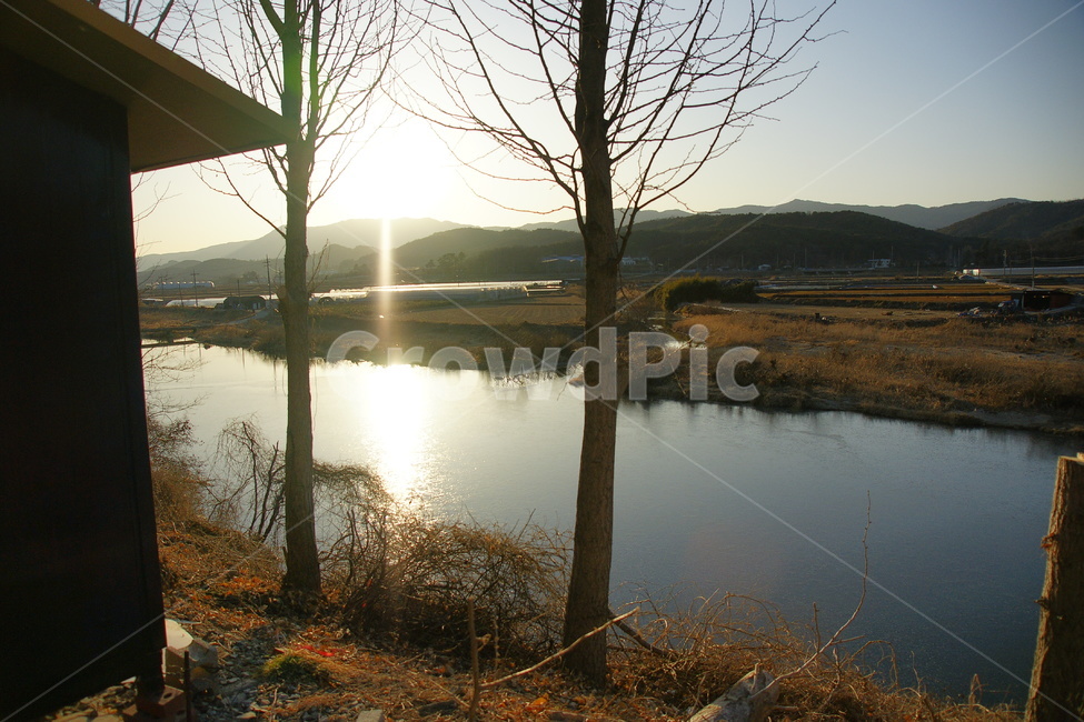 겨울,풍경,시골,빛,강,나무,가지,자연,풍경,nature,landscape,flare,플레어,light