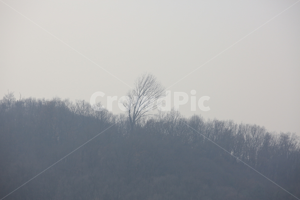 나무,산,동양화,겨울,산등성이,겨울,계절,winter,season,자연,풍경,nature,landscape,weather,날씨,outdoors,옥외