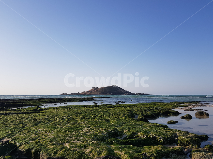 제주도,제주,비양도,협재,바다,섬,해수욕장,해변,수초