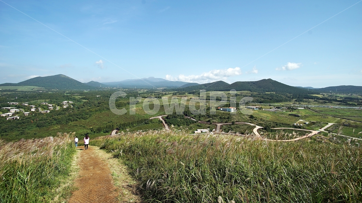 제주도,새별오름,한라산,억새,길,하늘,자연,흙길,road,nature,자연,풍경,nature,landscape