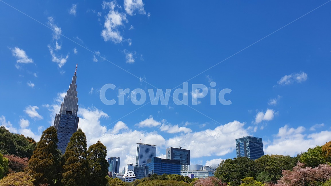 공원,신주쿠,일본,언어의정원,신주쿠공원,japan,park