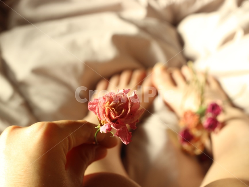 드라이플라워,식물,발,blossom,꽃,rose,장미,nature,자연,감성사진,감성,sunlight,빛,햇빛,flower,pink,plant,분홍,핑크,색감,색채,손,배경,배경화면,디자인,꽃,flower,감성,sensible,feeling