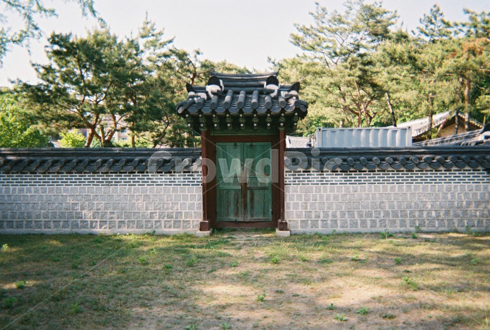 궁,문,전통,자연,창경궁,한국전통,한국문화,korean traditional,korean culture,건축물,건물외관,exterior,building,structure,architecture,construction