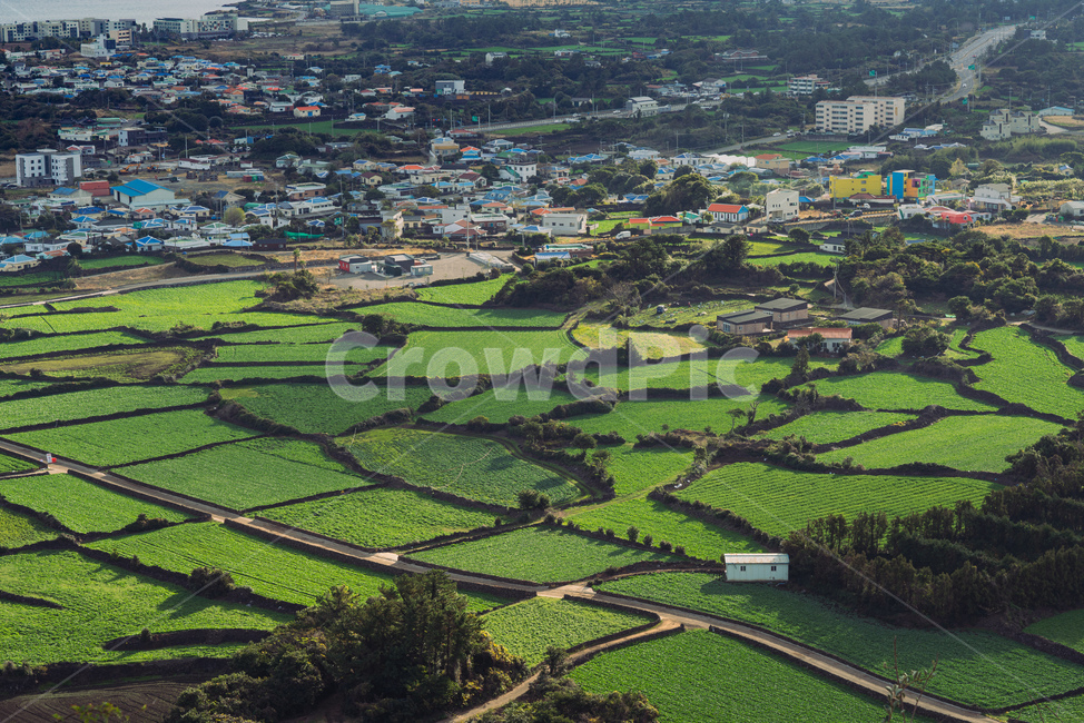 landscape,경치,nature,자연,scenery,풍경,제주,jeju,green,seogwipo,서귀포,제주도,jeju,jeju island,시골,마을,풍경,landscape,country,rural,town