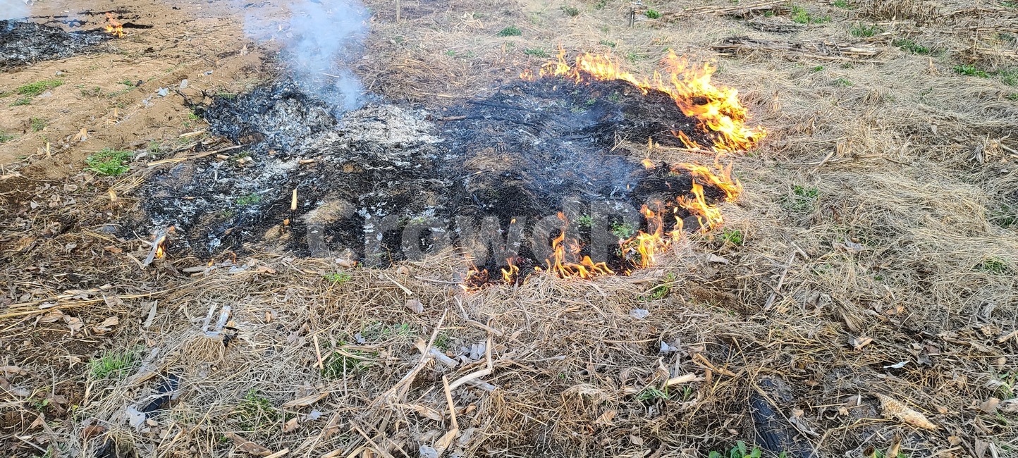 불,fire,밭,농사,자연