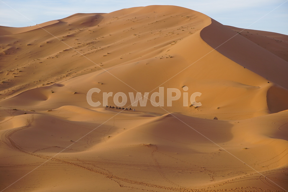 사하라,사하라사막,모래언덕,사막,모래,모로코,자연,nature,dune,sand,흙,soil,outdoors,붉은모래,아프리카,desert,자연,풍경,nature,landscape,해외,외국,세계,foreign,oversea,world,세계자연풍경,해외자연풍경,외국자연풍경,world nature landscape