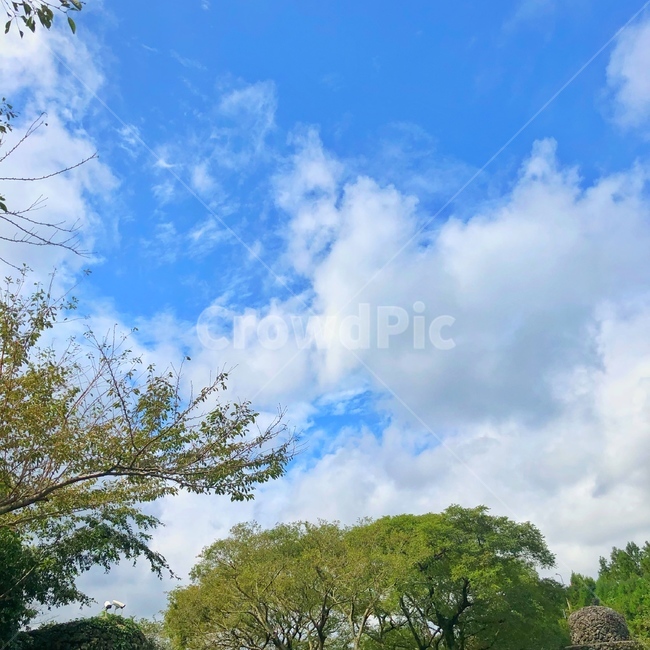 하늘,제주도,구름,풍경,야외,sky,jejuisland,outdoor,자연,풍경,nature,landscape