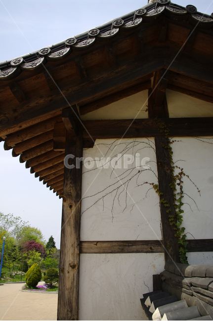 전통건축,한옥,기와,지붕,넝쿨,한국전통,한국문화,korean traditional,korean culture,건축물,건물외관,exterior,building,structure,architecture,construction