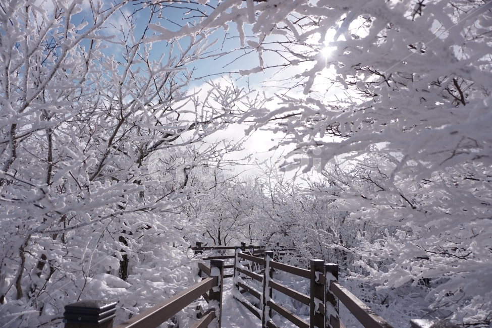 설경,상고대,눈,겨울,산,겨울,계절,winter,season,자연,풍경,nature,landscape,outdoors,옥외,banister,난간,handrail