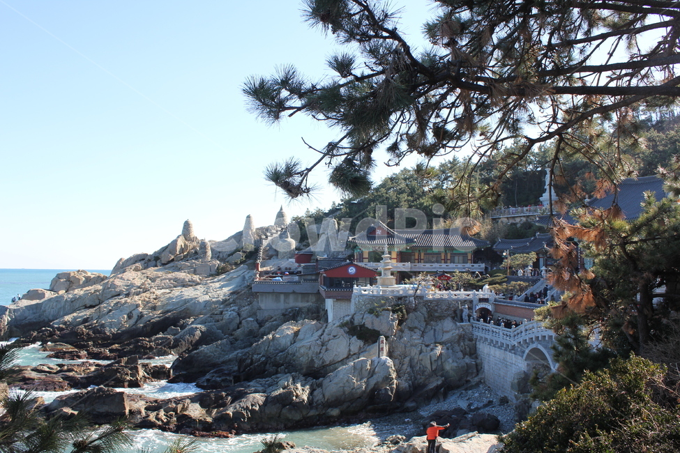 절,나무,하늘,탑,배경,풍경,자연,풍경,nature,landscape,한국자연풍경,한국자연경관,korea nature landscape,랜드마크,landmark,tourist attraction,한국랜드마크,한국관광지,한국명소,korea landmark,korea tourist attraction