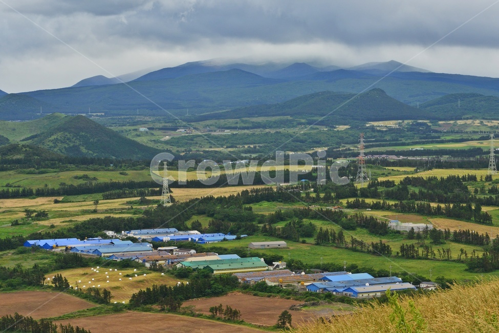 scenery,풍경,outdoors,옥외,landscape,경치,plant,식물,tree,나무,field,들,grassland,목초지,nature,자연,treetrunk,나무줄기,제주도,목장,꽃,오름,제주오름,길,공장,날씨,흐림