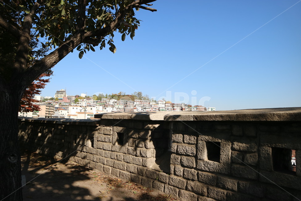 서울,동대문,성곽,성곽공원,가을,풍경,배경,도시,풍경,city,landscape,한국도시풍경,한국도시경관,korea cityscape,한국전통,한국문화,korean traditional,korean culture